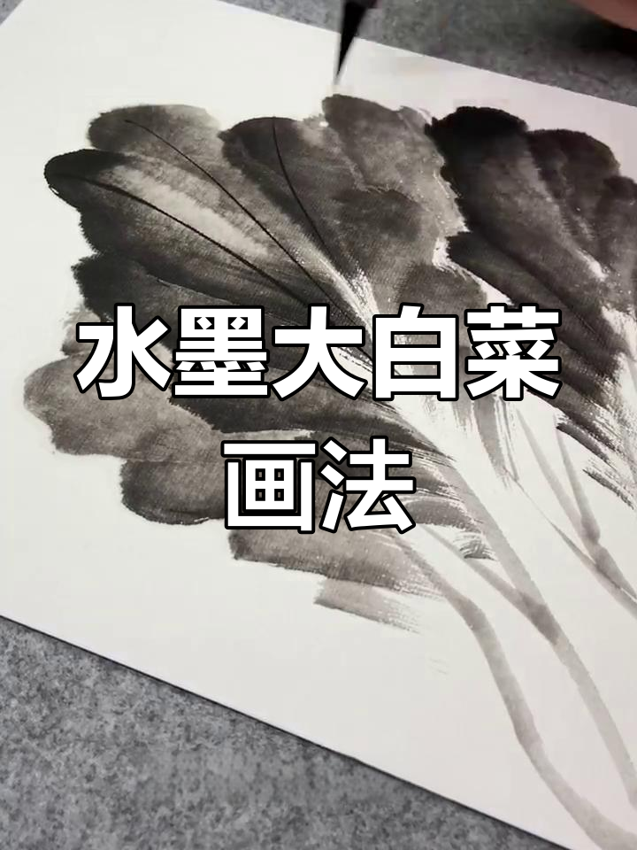 一笔一叶,轻松画出栩栩如生的水墨大白菜