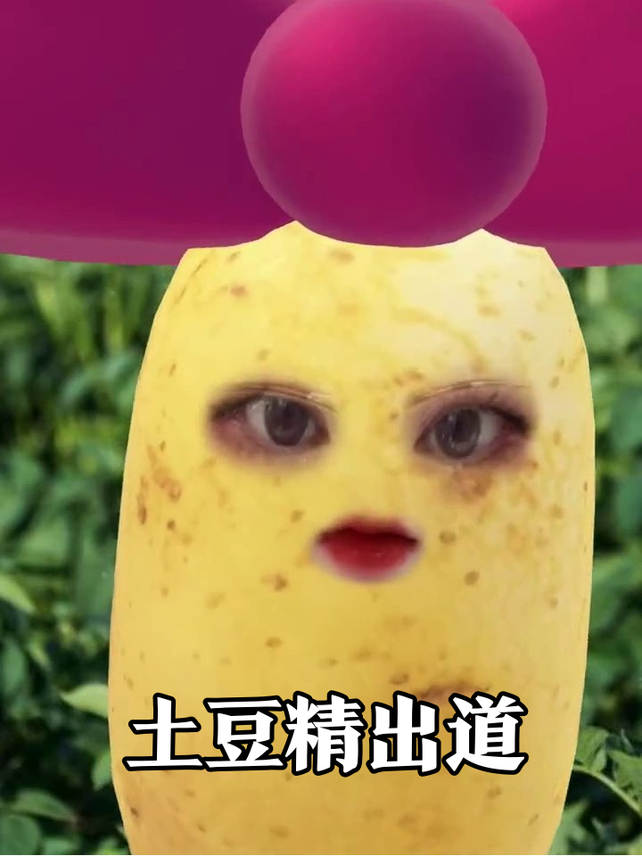 土豆成精戴蝴蝶结卖萌!表情比表情包还丰富
