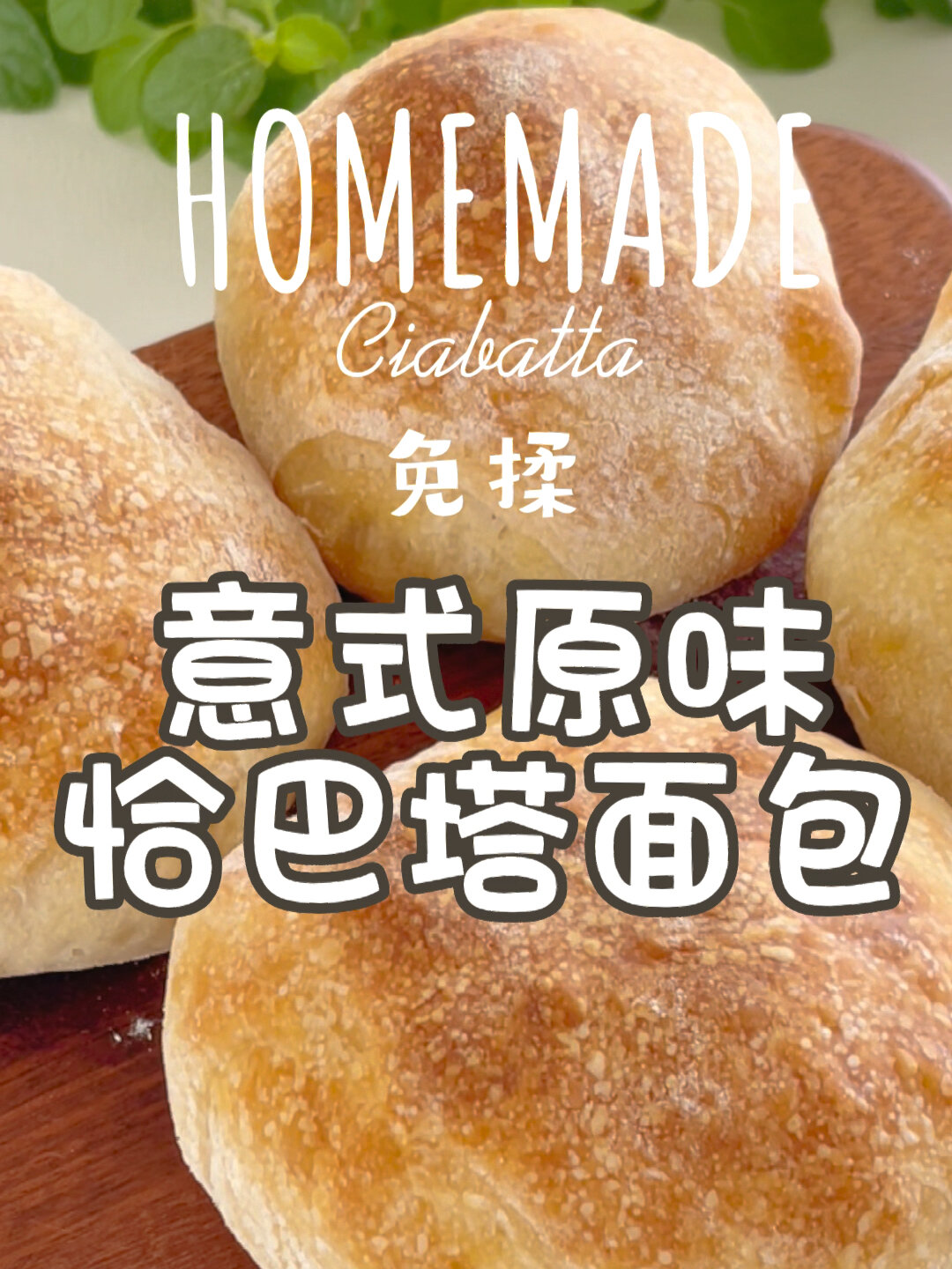 免揉|HOMEMADE 原味 恰巴塔面包