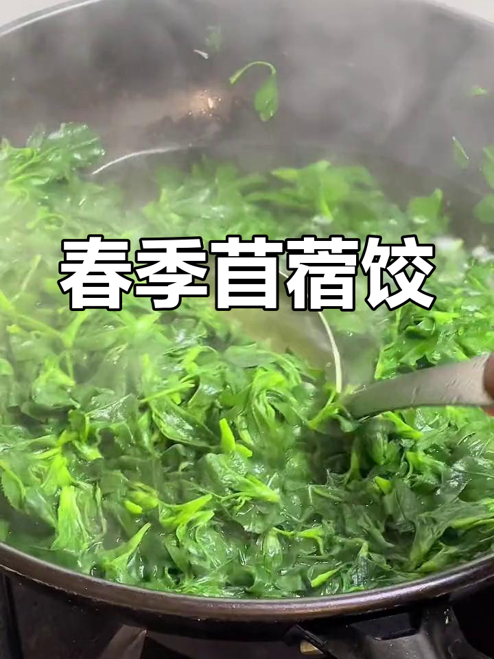 春天必试苜蓿饺子,营养美味做法全攻略