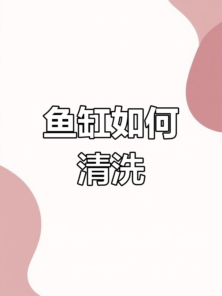 新鱼缸清洗与消毒指南