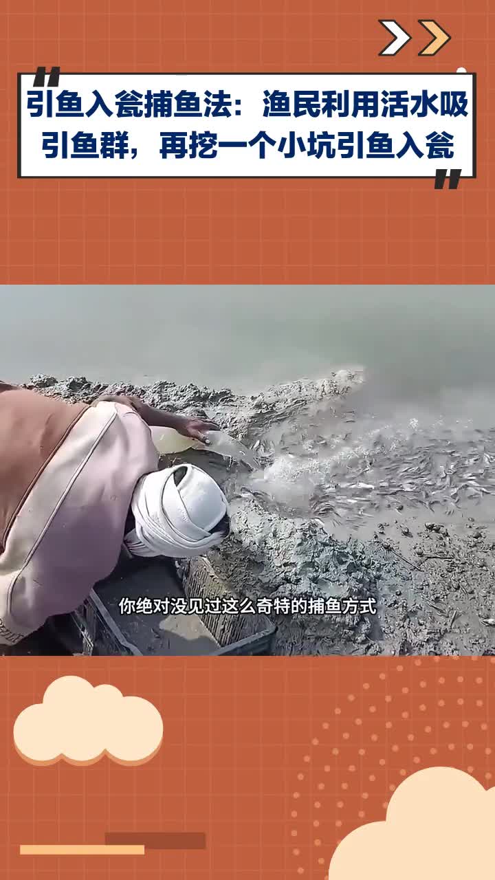 引鱼入瓮捕鱼法:用活水吸引鱼群,再挖小坑让鱼“就范”