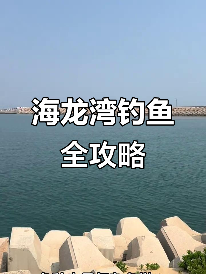 海龙湾各区域鱼情大揭秘,路亚与矶钓的完美结合