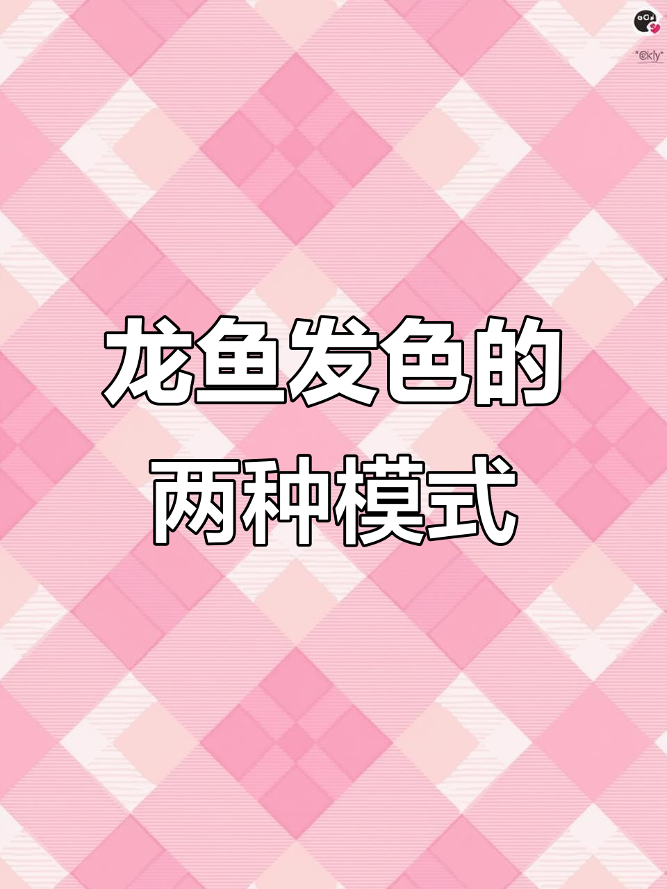 红龙鱼发色类型揭秘:一步到位与循序渐进的差异