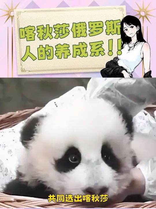 俄罗斯棕熊:你们真让我感到恶心!俄罗斯喀秋莎可爱到爆炸棕熊内容启发搜索