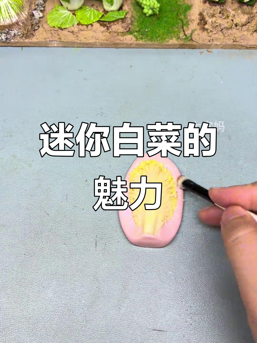 贵州迷你白菜,口感绝佳,跨越千里也能保持原汁原味
