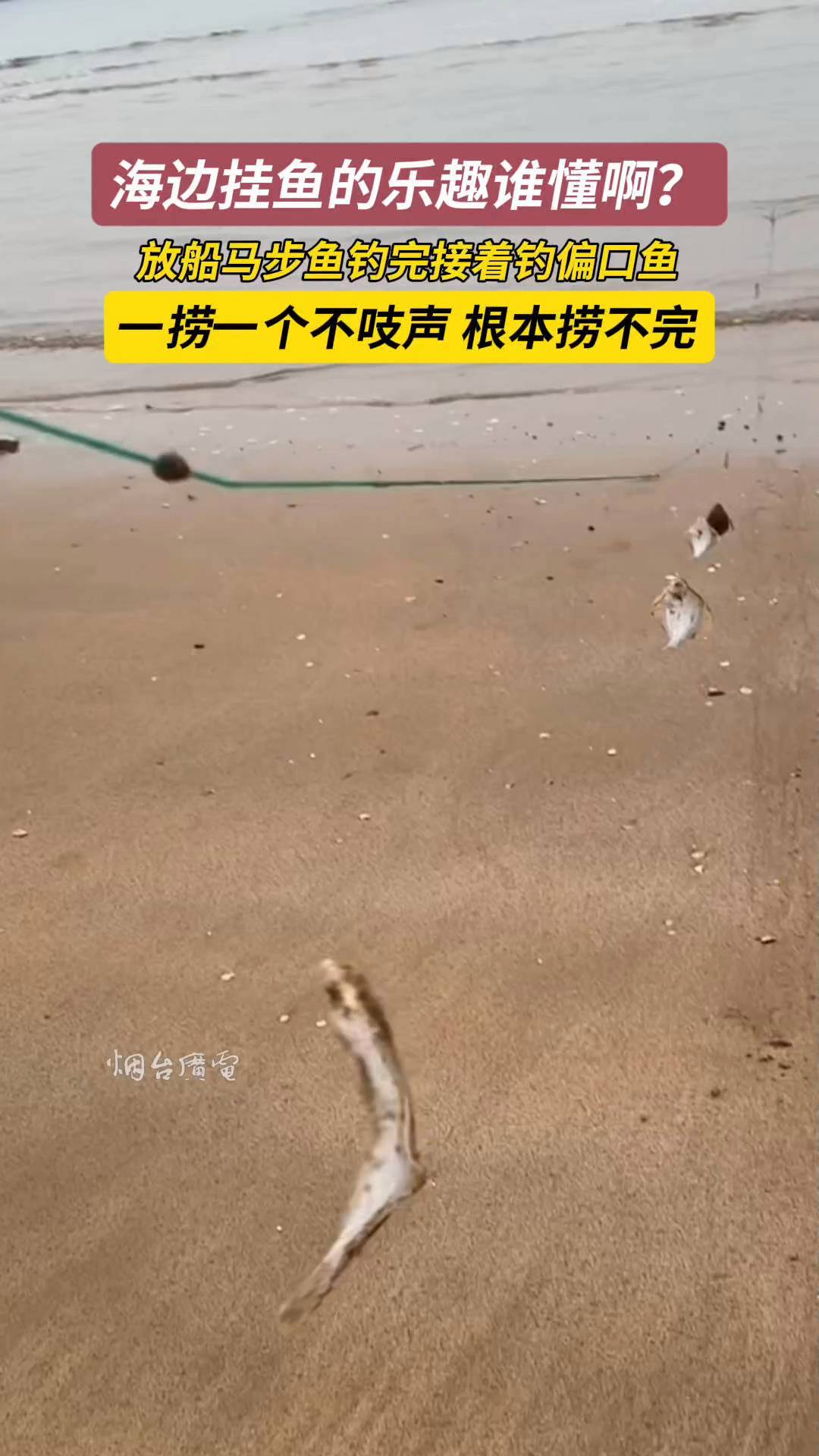海边挂鱼的乐趣谁懂啊?马步鱼钓完钓偏口鱼,根本捞不完。#大海
