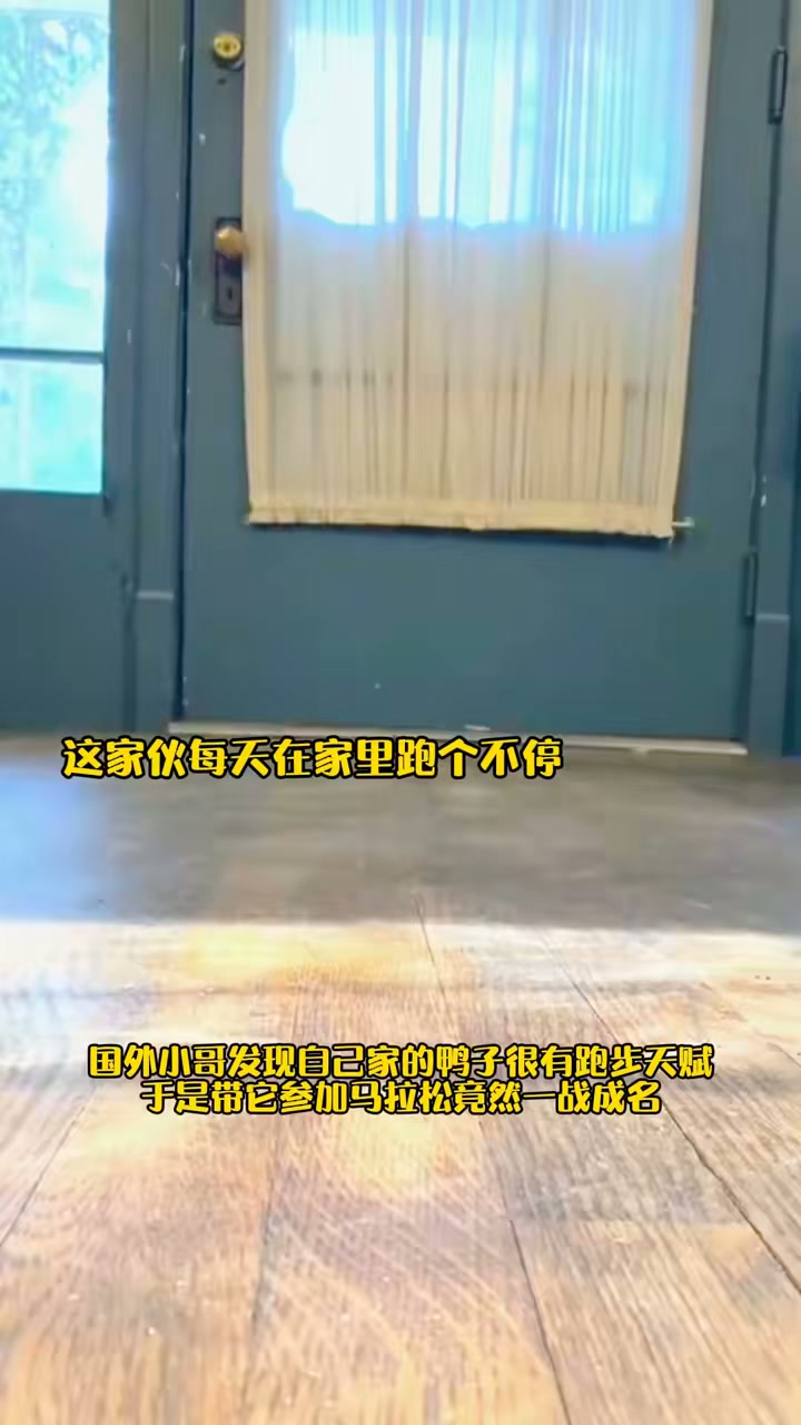 国外小哥发现自家鸭子有跑步天赋,带它参加马拉松一战成名!