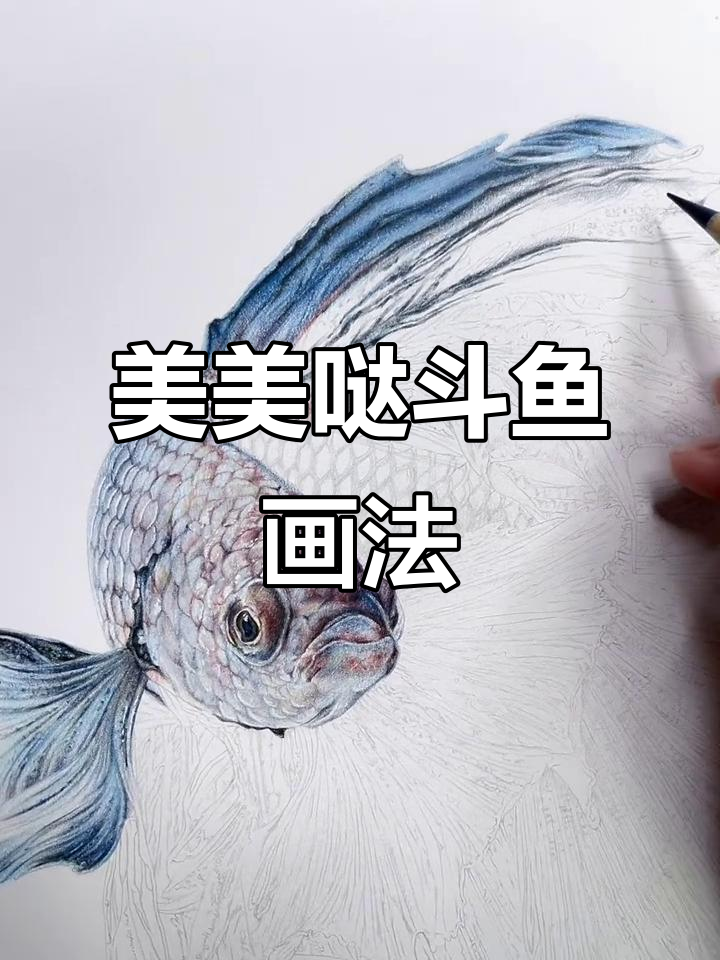 画出一条超美的斗鱼，轻松搞定！