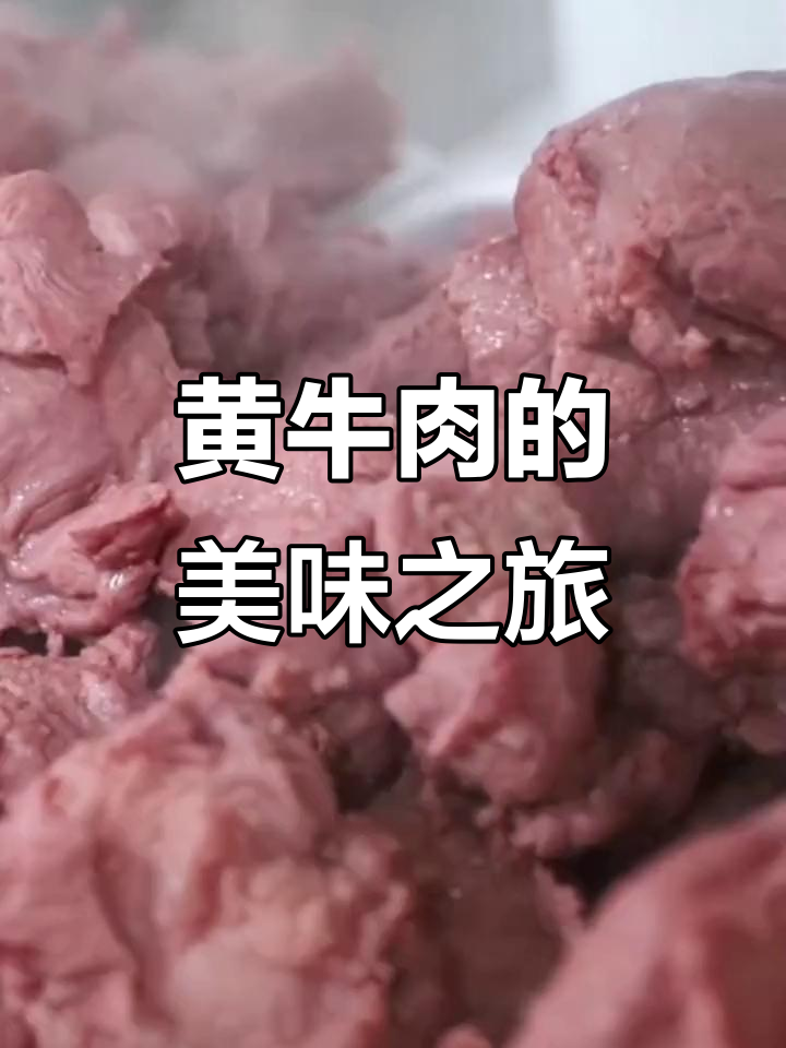 南阳黄牛肉,五香熟食,真空包装,开袋即享美味