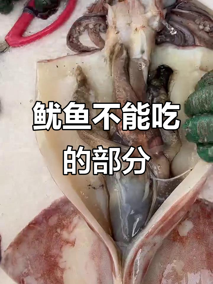 鱿鱼哪些部位不能吃?教你清理技巧