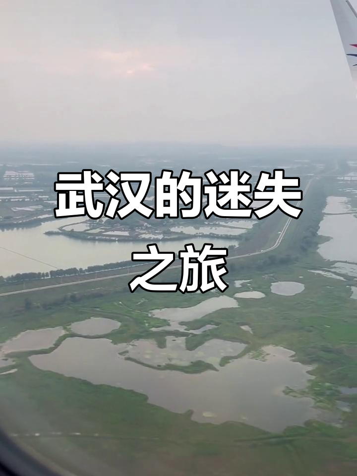 回到外婆家,武汉大得让人迷路!