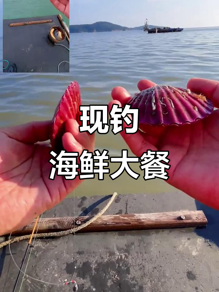 海里现钓海鲜，大鱼小虾一网打尽！