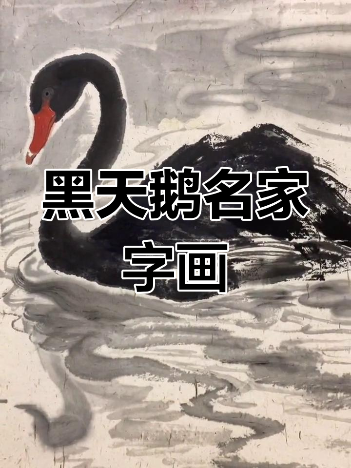 刘云博黑天鹅系列国画展示