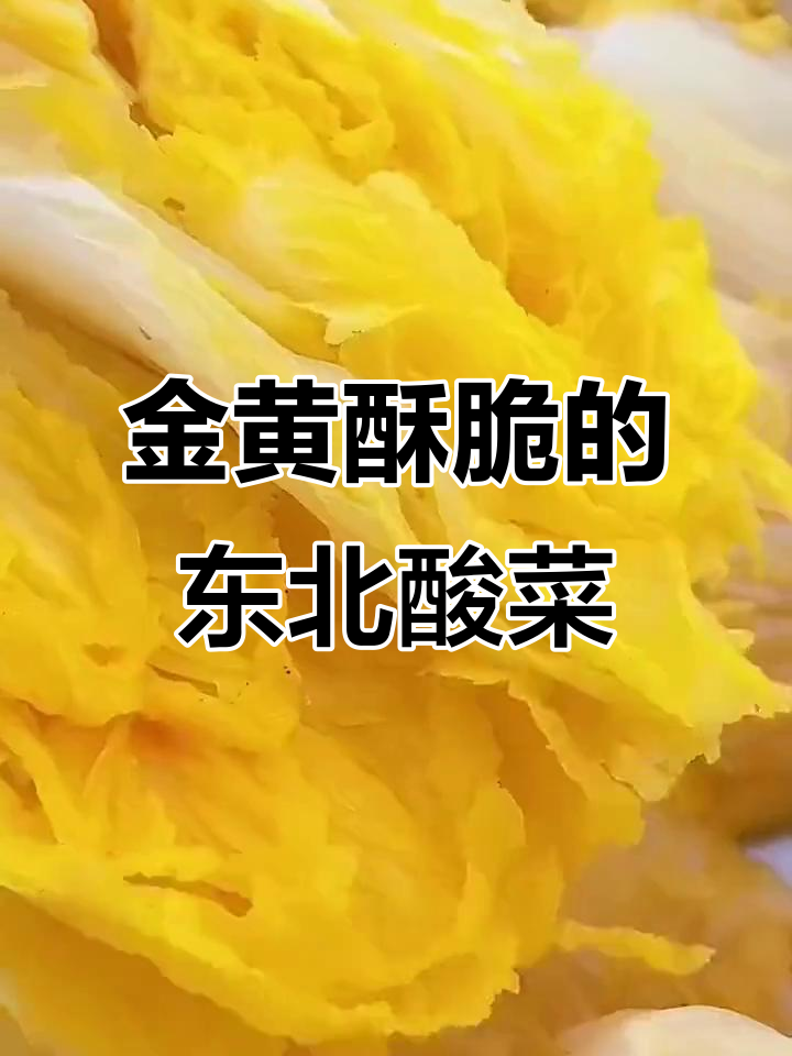 东北酸菜腌法揭秘,如何让酸菜又脆又好吃