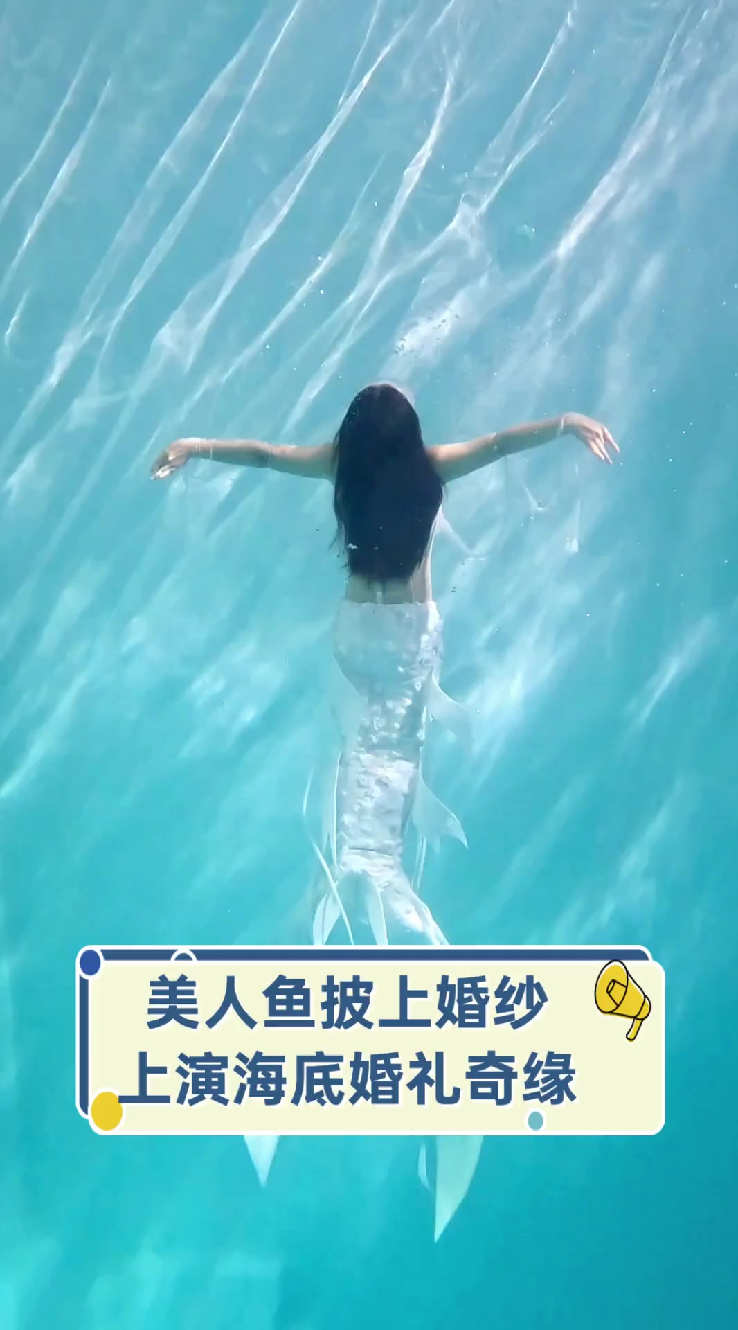 美人鱼披上婚纱,上演海底婚礼奇缘