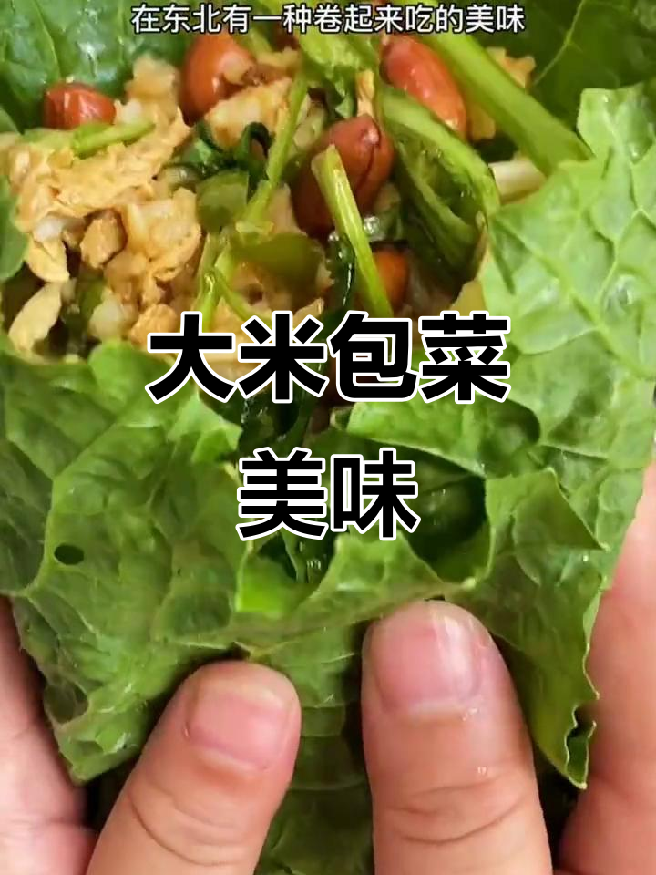 东北大白菜包裹米饭,香气扑鼻,口感绝佳!