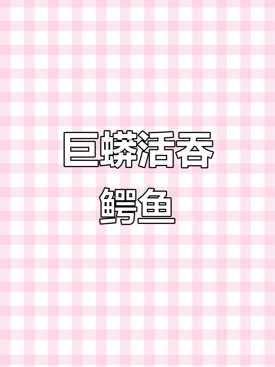巨蟒吞鳄鱼，结果被反杀！鳄鱼拼死挣扎逃脱