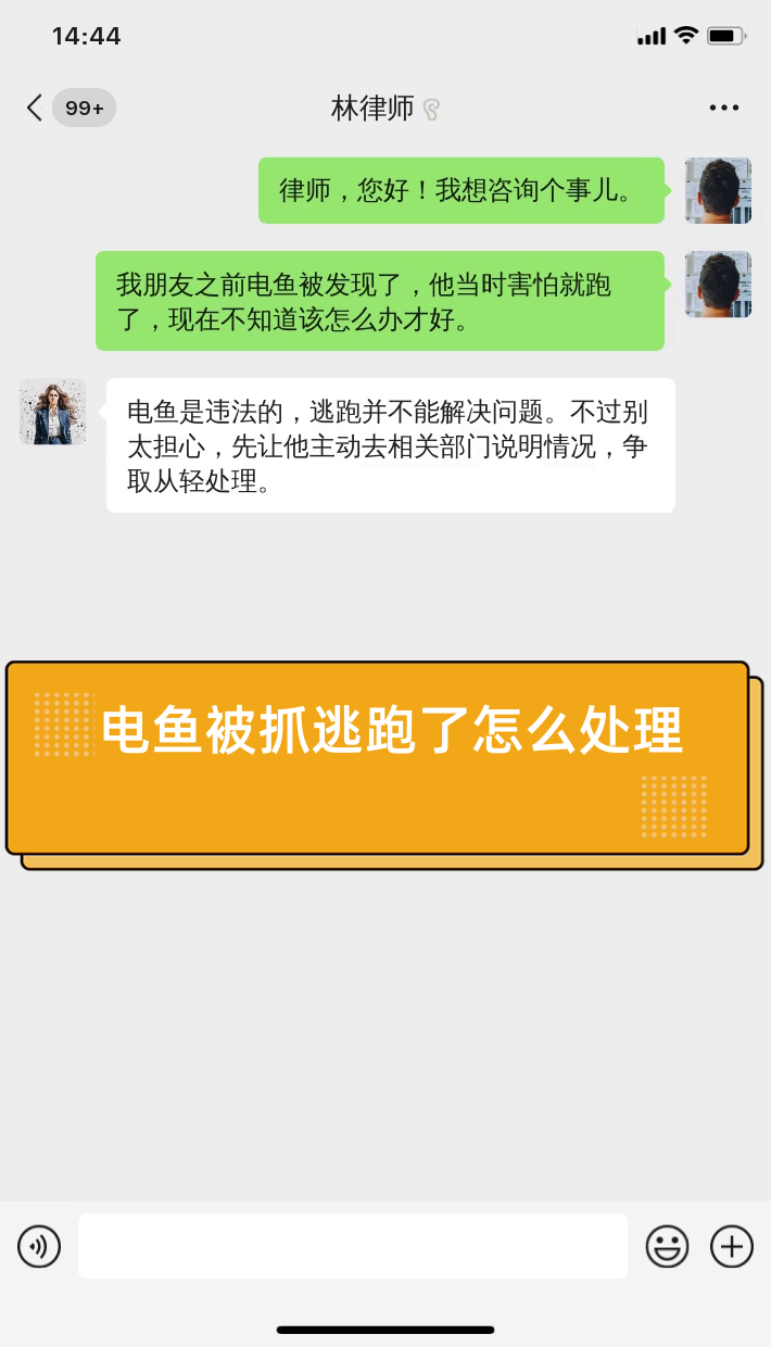 电鱼被抓逃跑了怎么处理