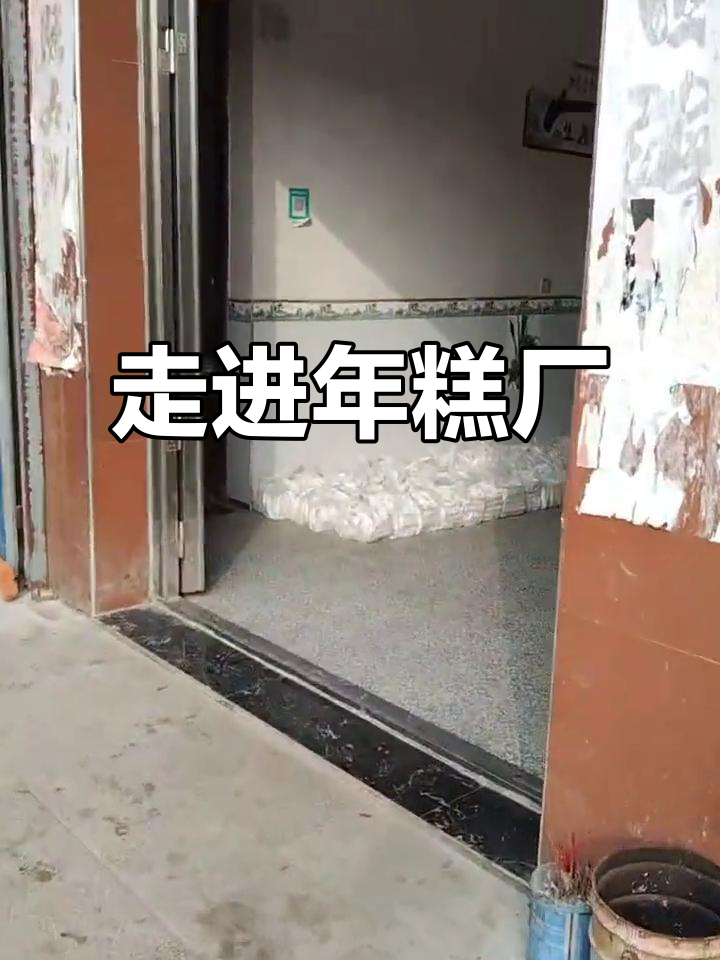 年糕厂的梦想与现实:创新驱动,竞争激烈