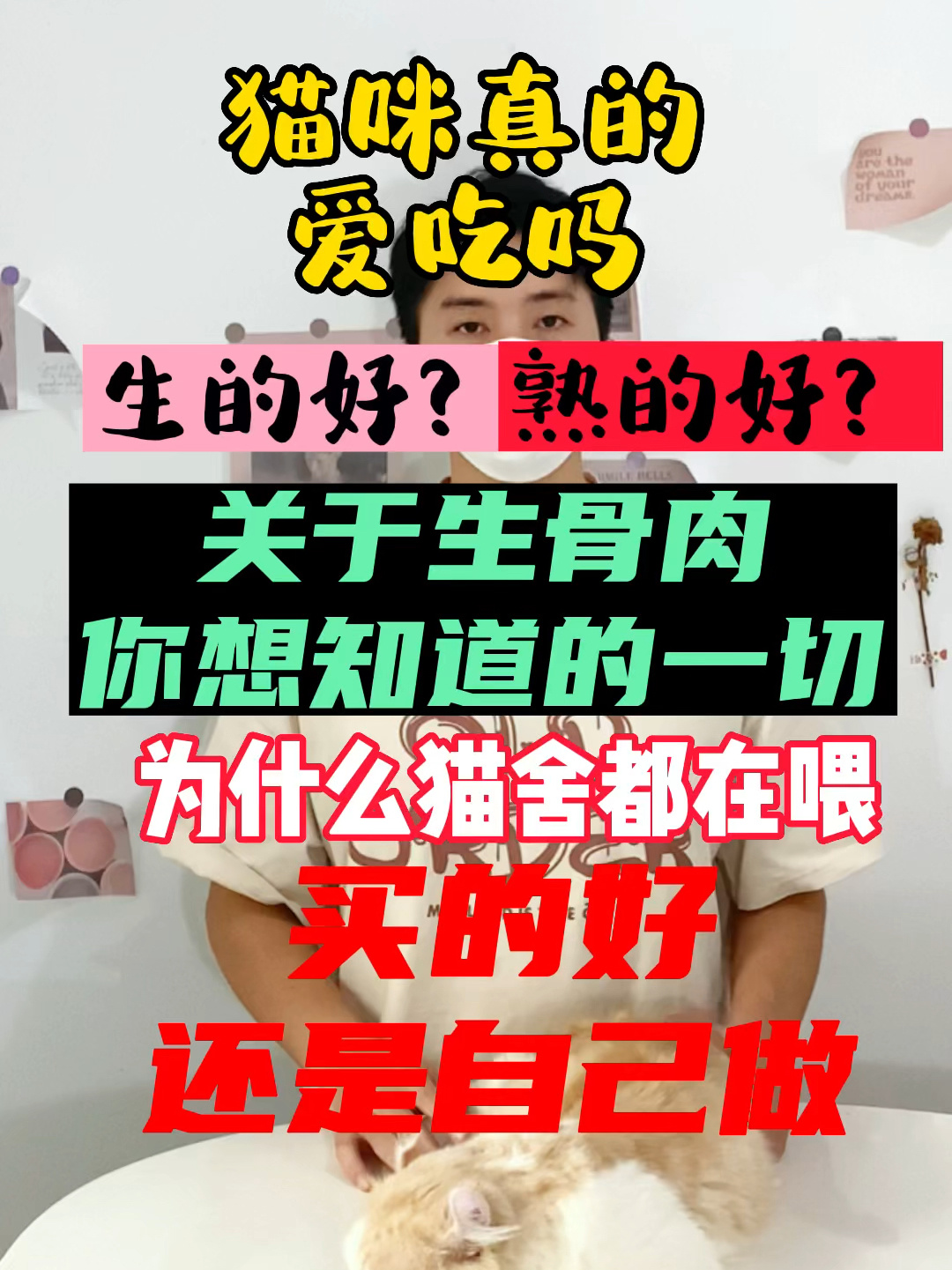 猫咪吃生骨肉真的好吗?宠医猫舍一点小见解