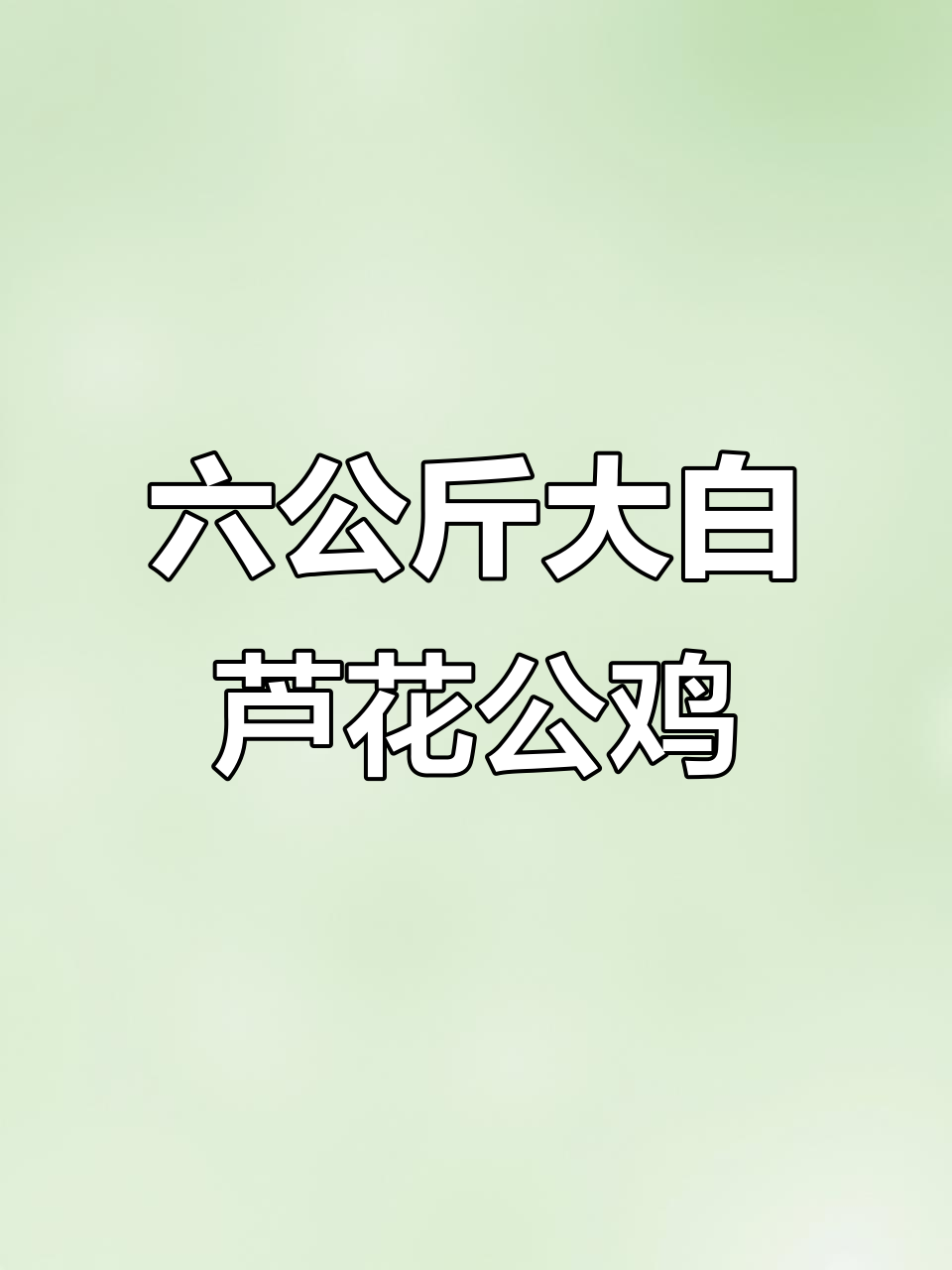 这只白芦花公鸡重六公斤，去年就涨了这么多！