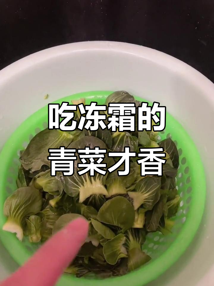 冻霜青菜更美味,松岗本地东青菜必试