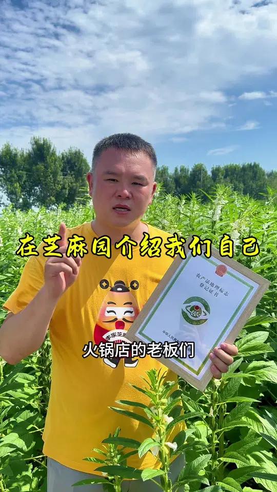 芝麻丰收记,万亩机收芝麻涨势喜人,今年又是一个丰收年。李家芝麻酱小磨香油芝麻酱火锅麻酱李家