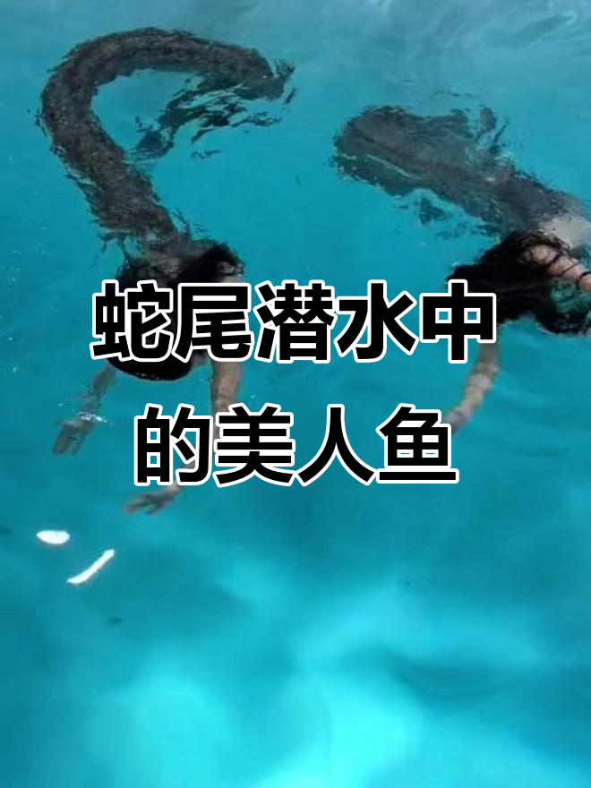 挑战蛇尾潜水,美人鱼变“大蟒蛇”惊险瞬间
