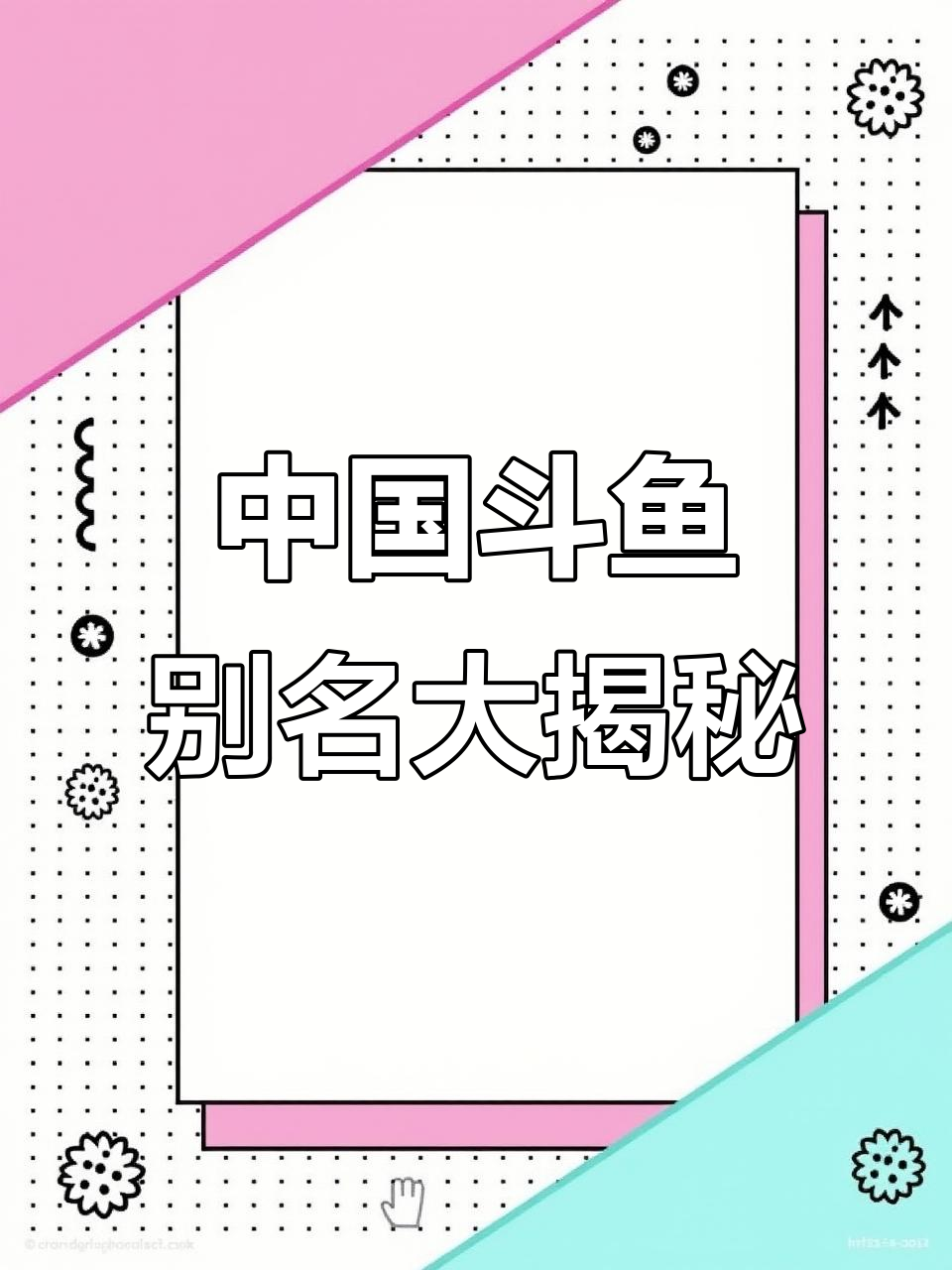 你能叫出这些中国斗鱼的别名吗?从蒲叉到婆婆鱼,一网打尽!