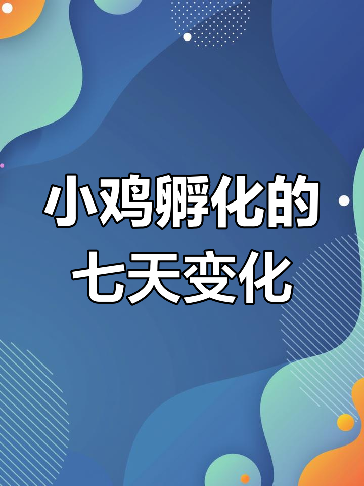 孵化杂交鸡全过程:从鸡蛋到小鸡的生命奇迹