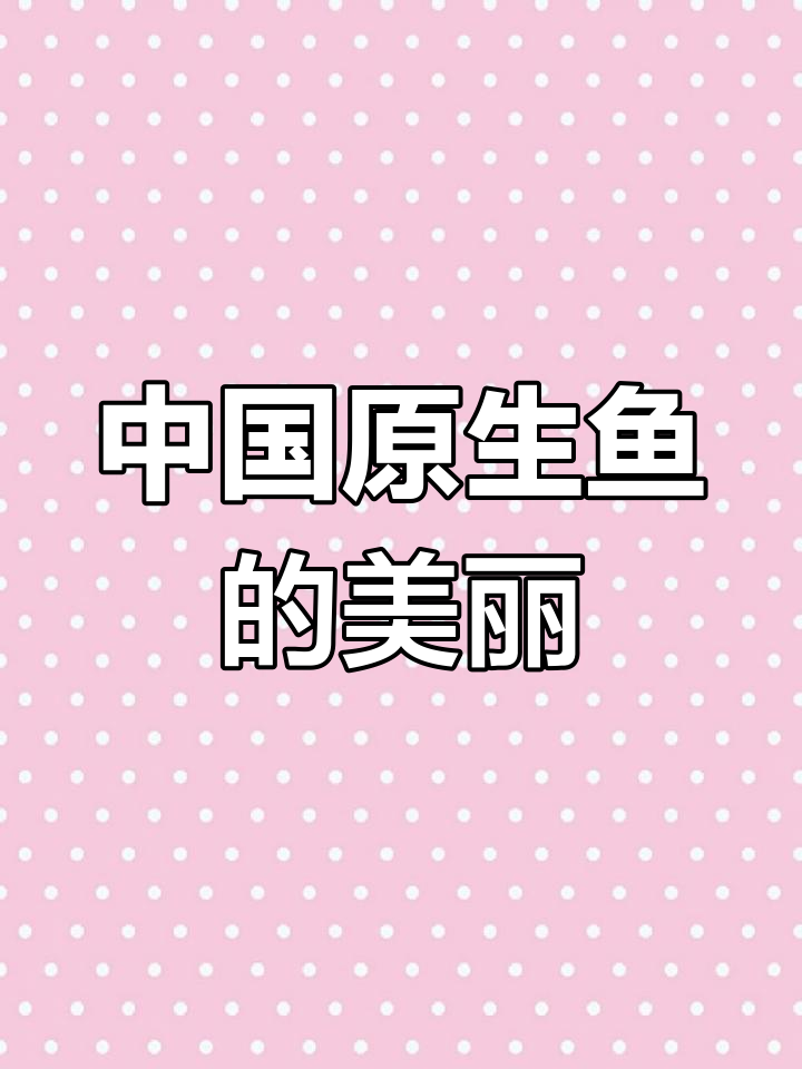 近距离观察中国原生鱼的活动
