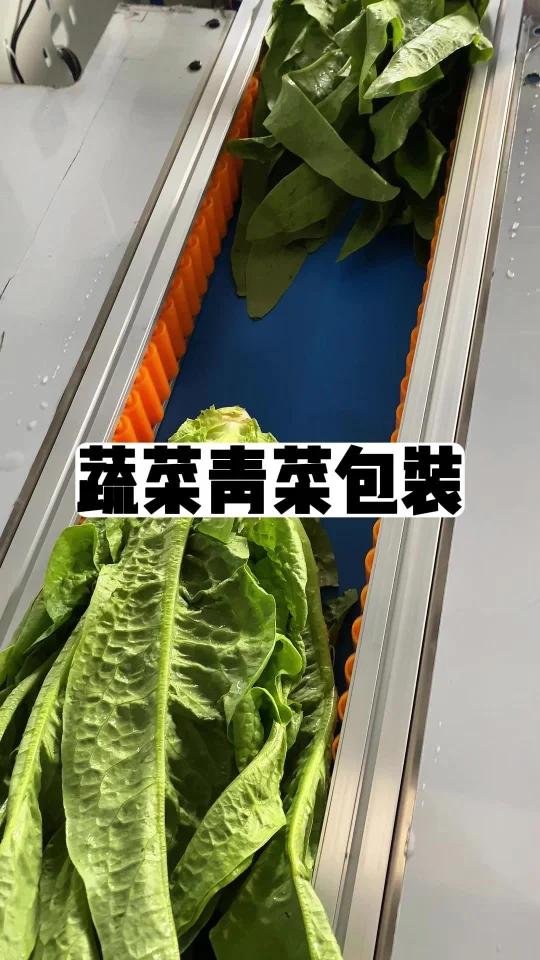 净菜加工工厂的得力助手 蔬菜净菜包装机