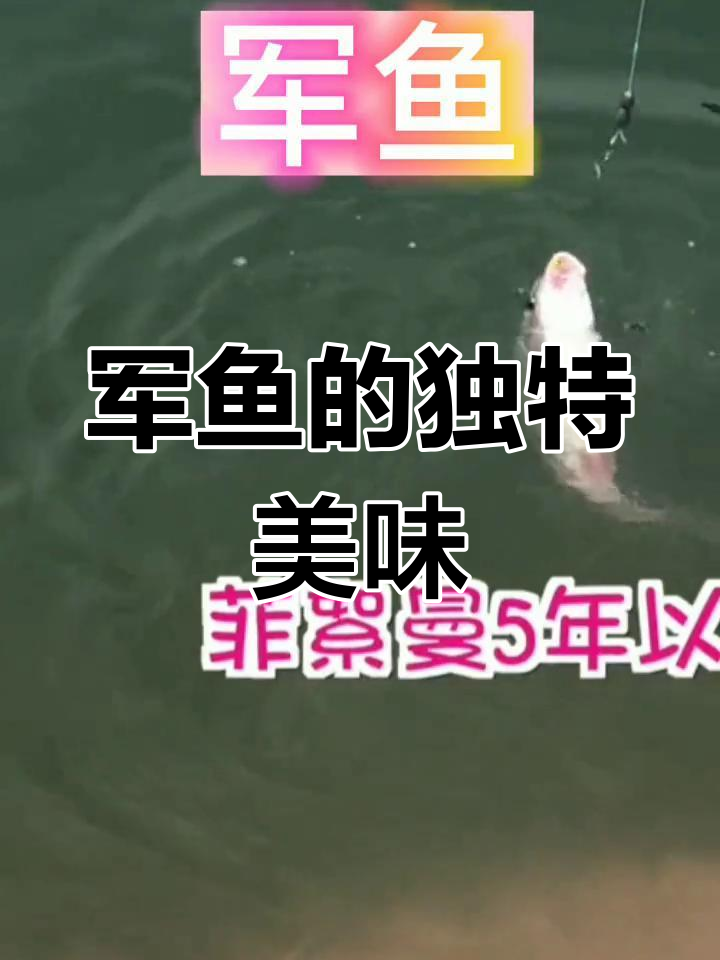 军鱼肉质鲜嫩,口感如豆腐,与草鱼有些许相似