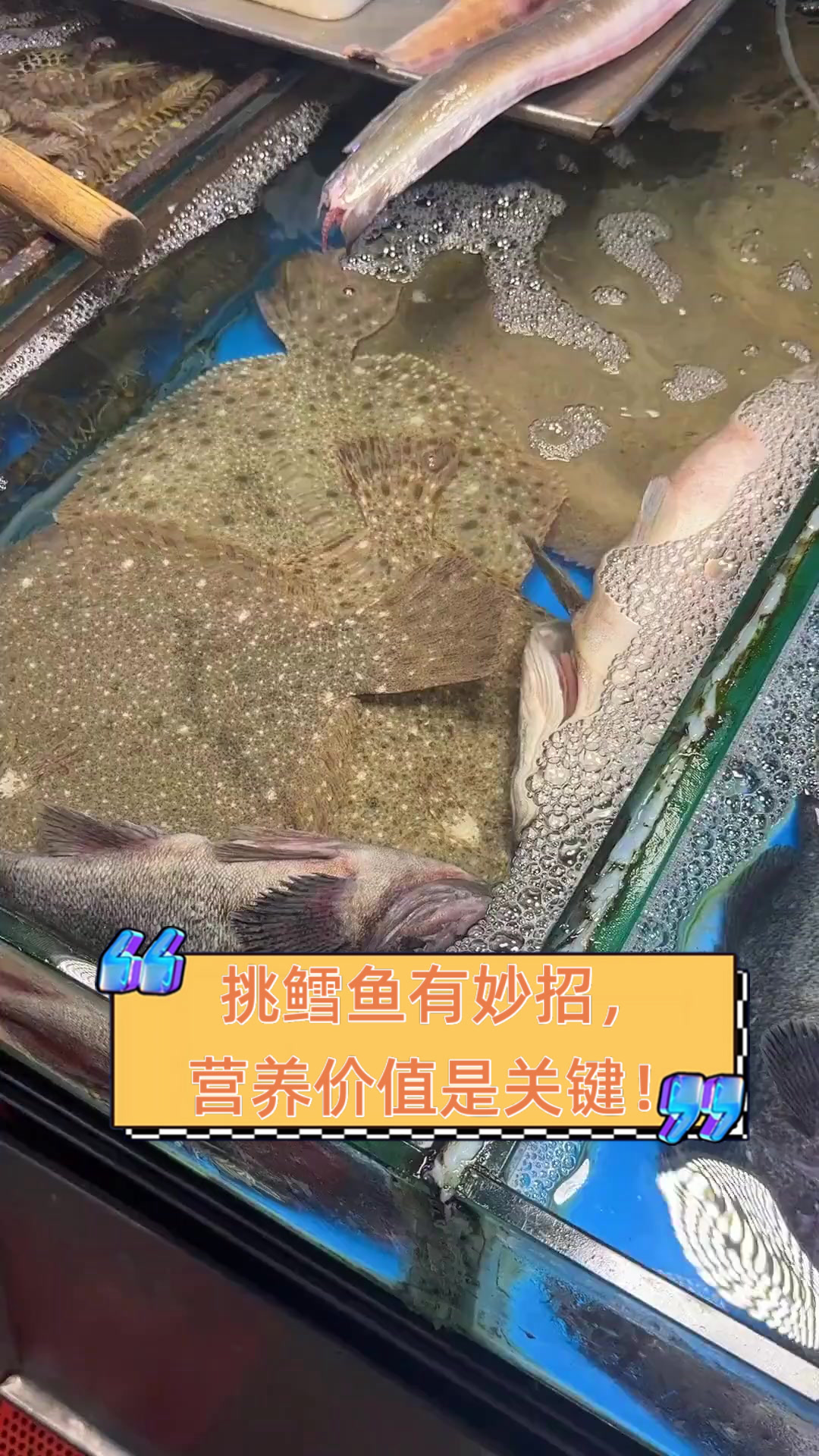 挑鳕鱼有妙招，营养价值是关键！