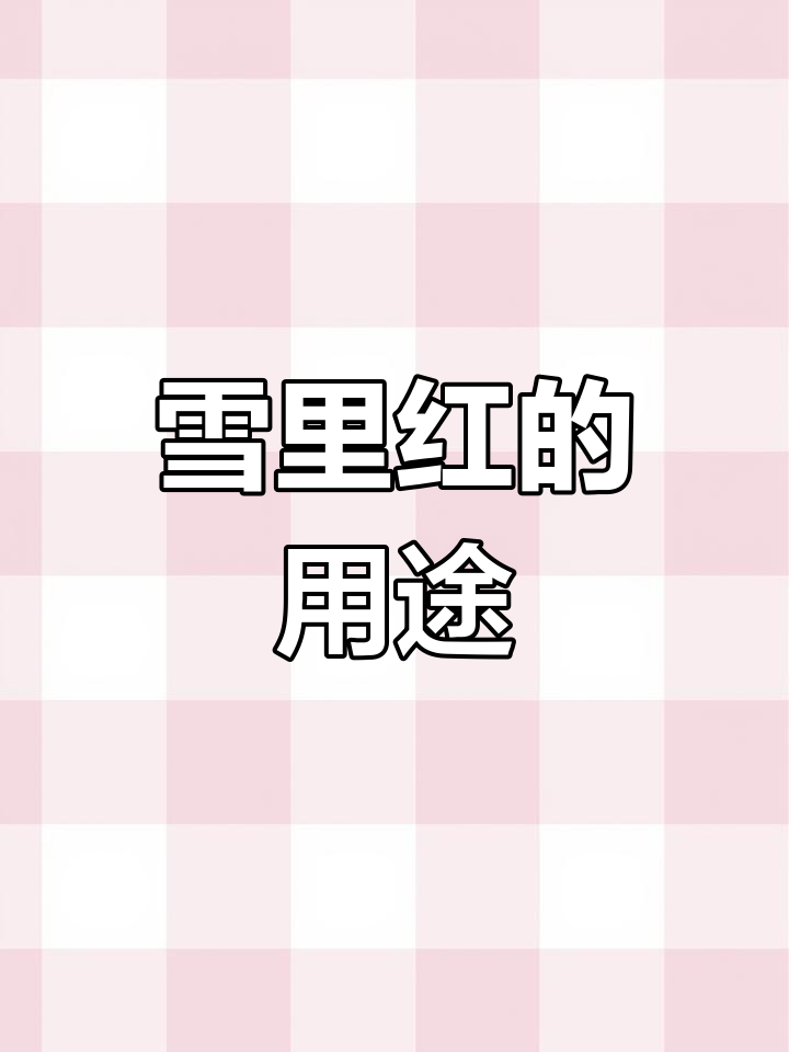 雪里红:草本芥菜的变种