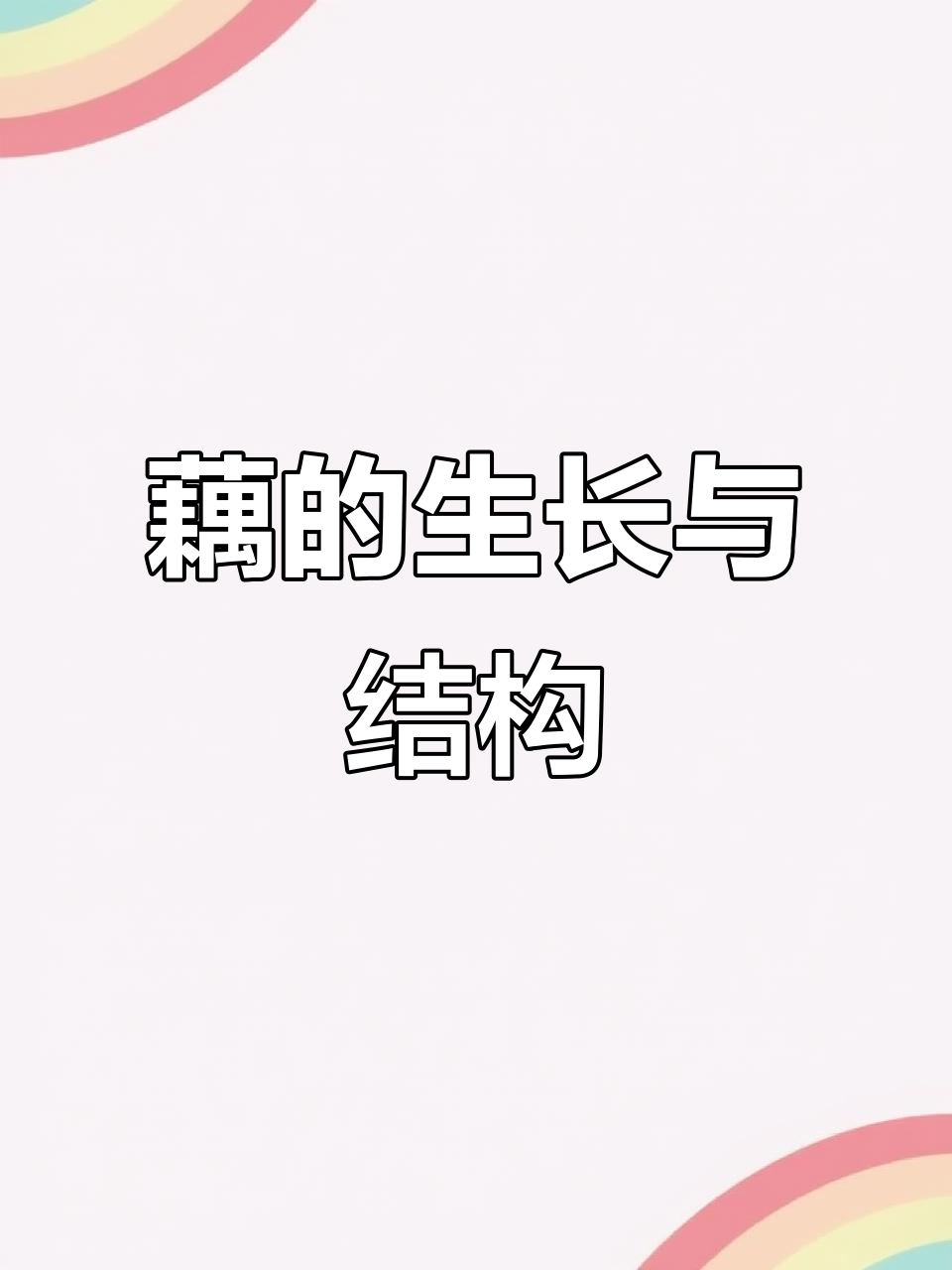 藕的成长秘密:从顶芽到侧芽的全过程揭秘