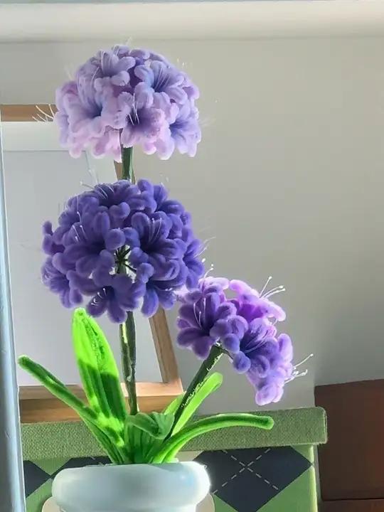 朋友说她静谧雅致治愈美好 百子莲的花语是浪漫的爱情、浓浓的亲情,还象征着纯洁、庄严,寓意着