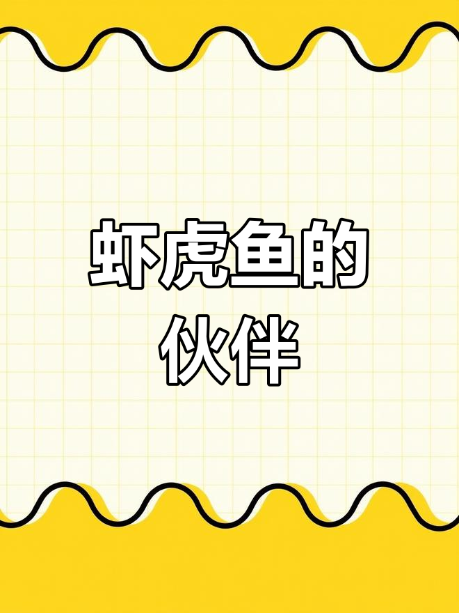 虾虎鱼与枪虾的共生关系揭秘