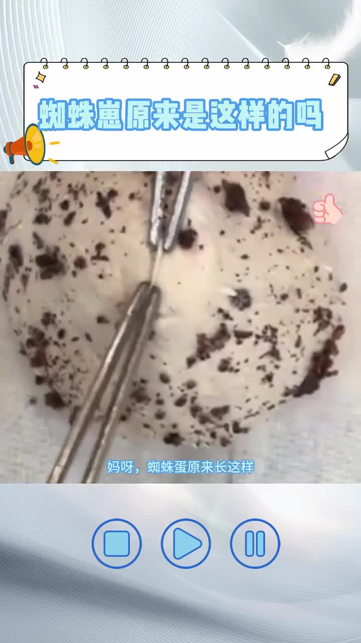 这玩意儿长得真的很像巧克力面包