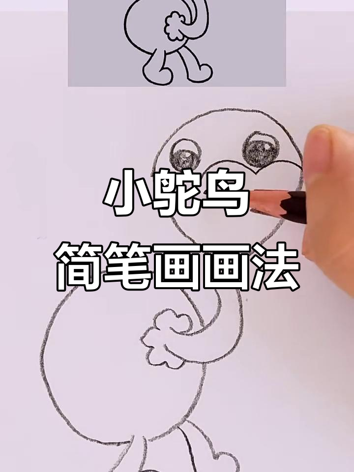 儿童简笔画：鸵鸟的星星眼和羽毛画法