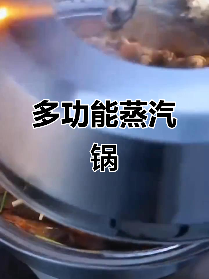 蒸汽火锅,蒸煮两用,厚底电磁炉家用,海鲜汤锅一体
