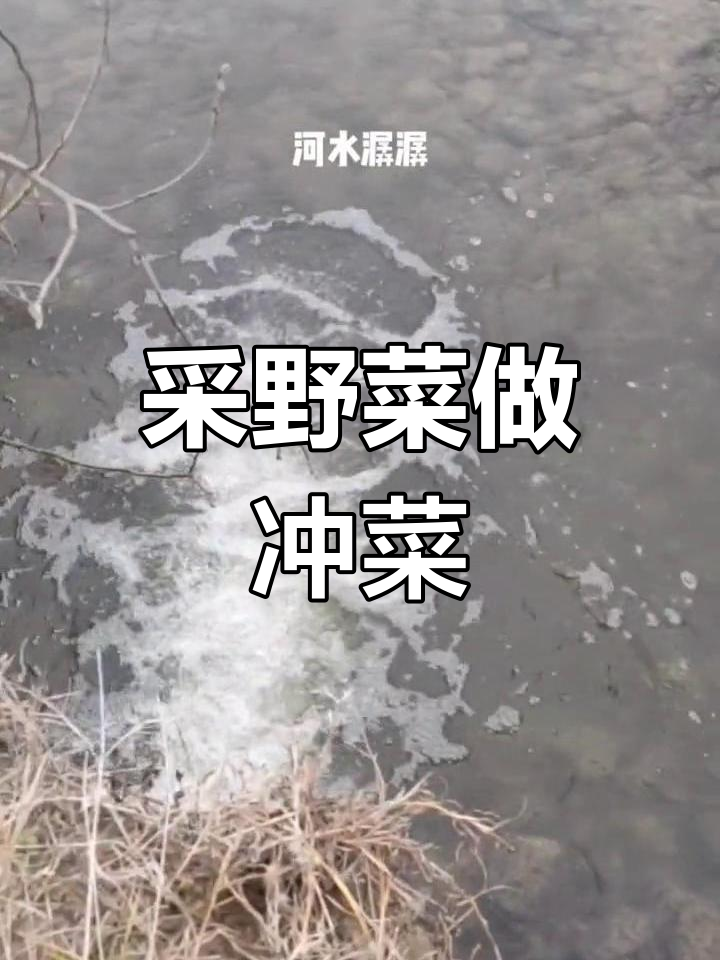 春天野菜大丰收,制作特色冲菜