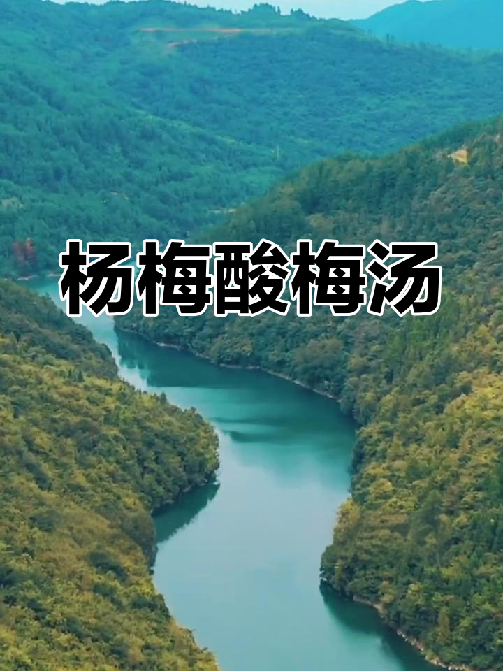 贵州杨梅酸梅汤,夏日清凉饮品