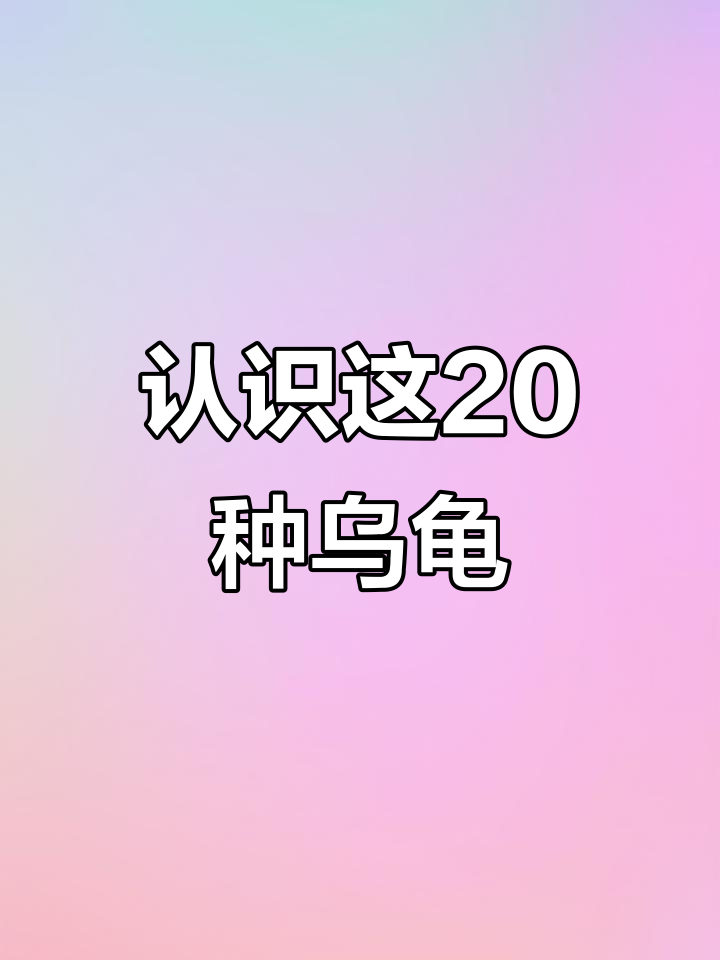 20种常见龟类大揭秘,你了解吗?