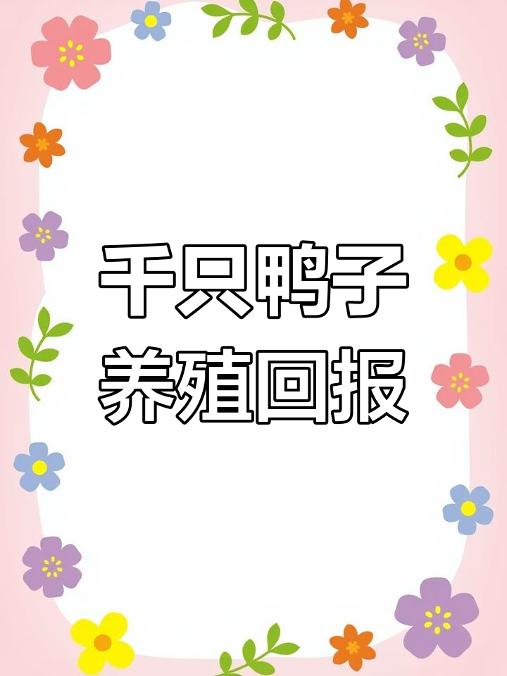 养1000只蛋鸭,成本与收益分析:一年能回本吗?