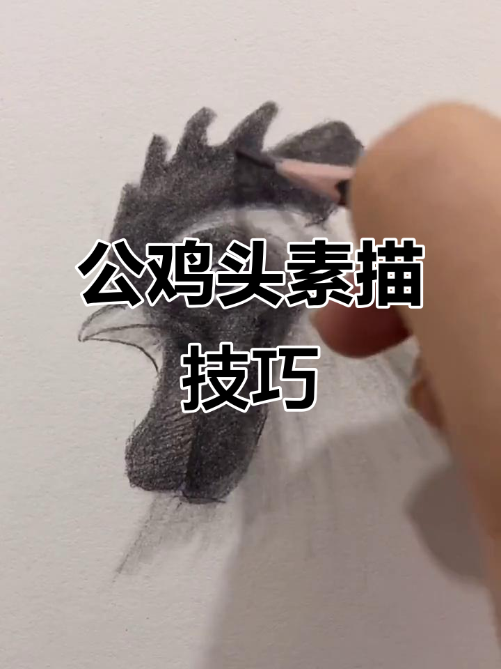 素描公鸡头教程,轻松掌握细节与色彩