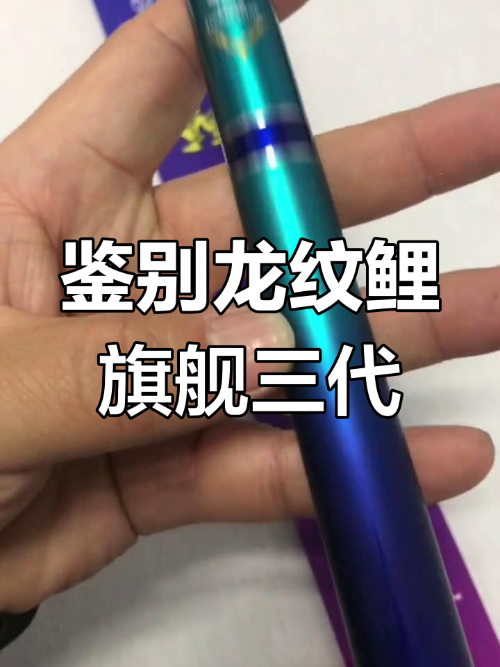 龙纹鲤旗舰三代三米六细节解析