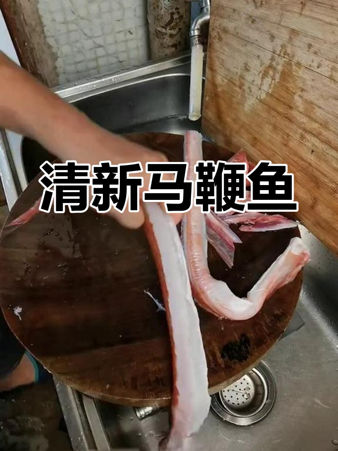 马鞭鱼清煮,鲜美十足,海鲜味浓郁,绝对让你回味无穷!