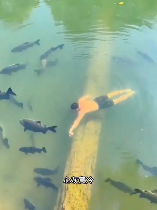 国外老哥在河里喂鱼4年，退休工资全部买余粮，把鱼喂的跟球一样